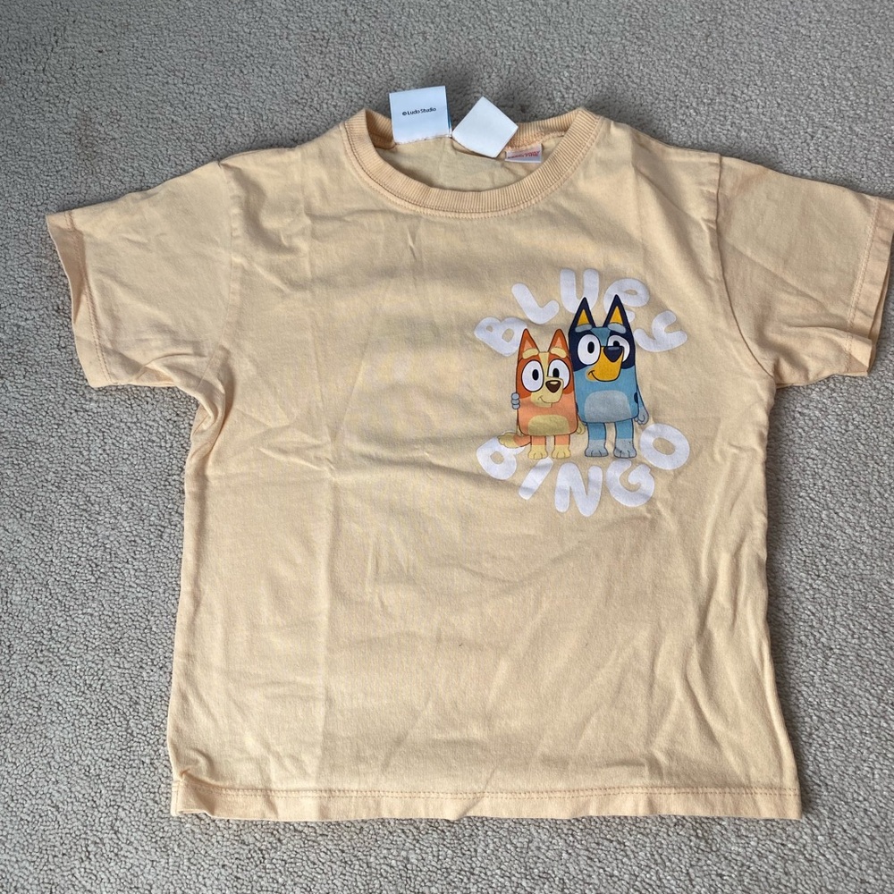 Zara Bluey Shirt